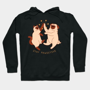 Stay Pawsitive Hoodie